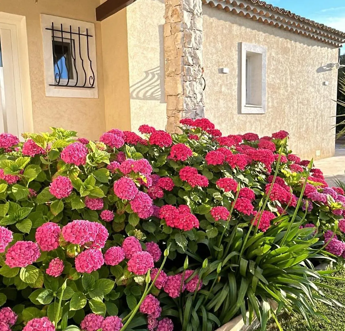 Duplex Oliveraie Piscine Au Sel Marin Et Parking Nice Fransa
