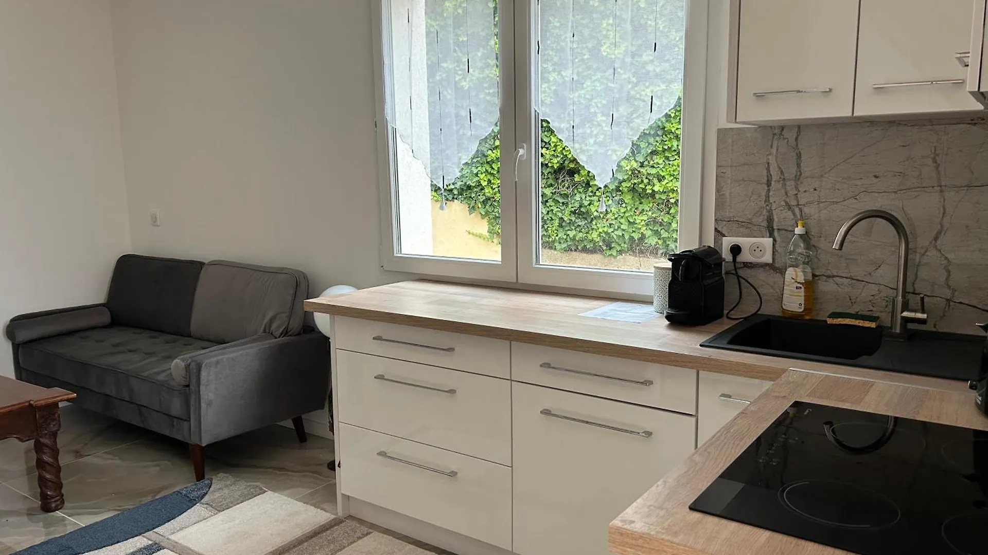 Duplex Oliveraie Piscine Au Sel Marin Et Parking Nice 0*,  Fransa